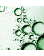 ACEITES