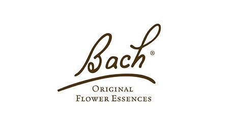 BACH ORIGINAL